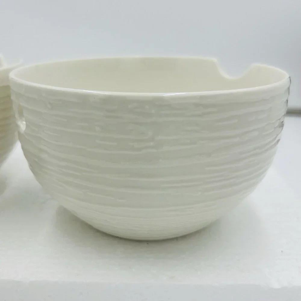 Nicole Miller Ceramic Ivory Noodle Soup Ramen Bowl Set of 2 (6.25x3.75)
